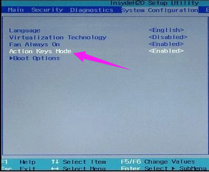 bios