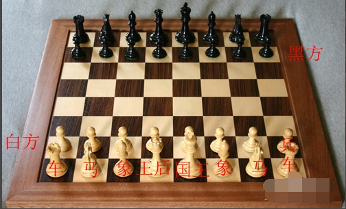 玩國際象棋
