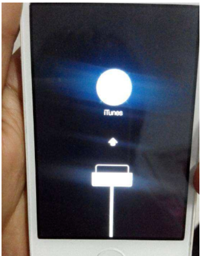 連接電腦