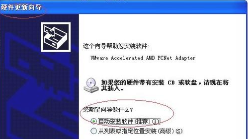 網(wǎng)卡