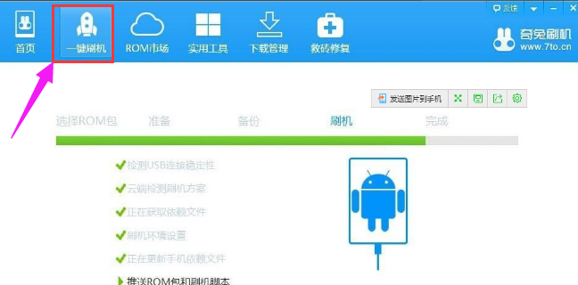 奇兔