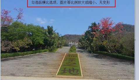更改圖片大小