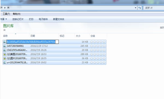 文件名稱