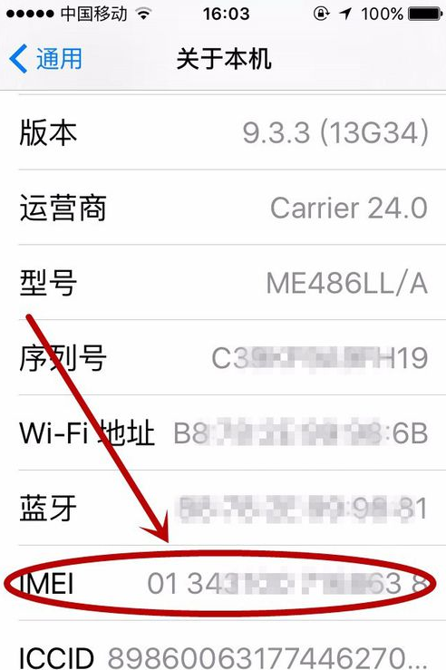 蘋果